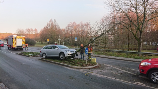 DSC_1140 bearbeitet groß.jpg